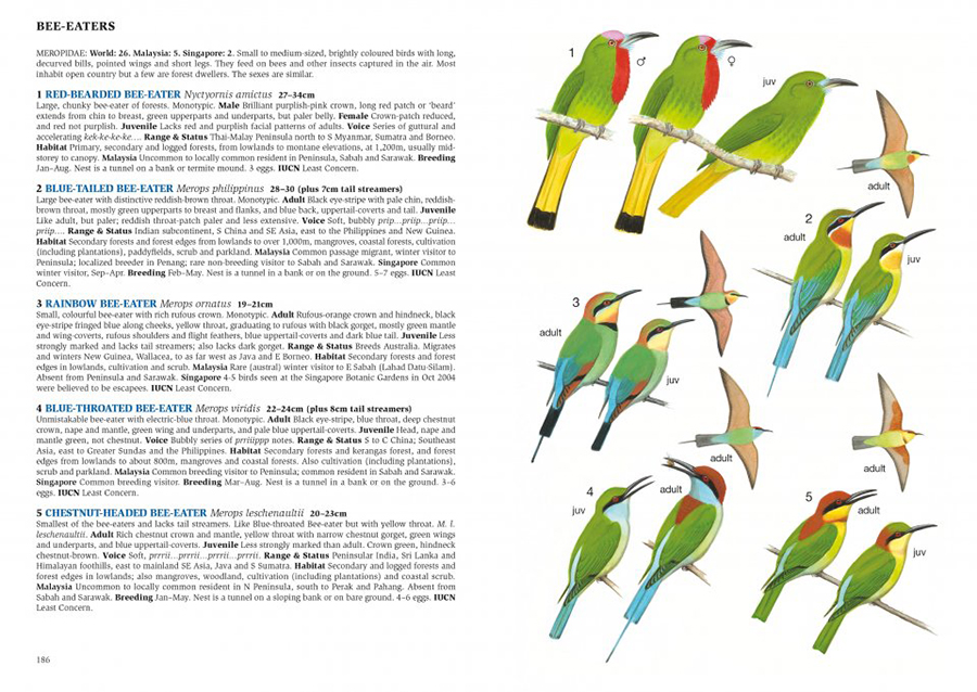 A FIELD GUIDE TO THE BIRDS OF MALAYSIA & SINGAPORE 3
