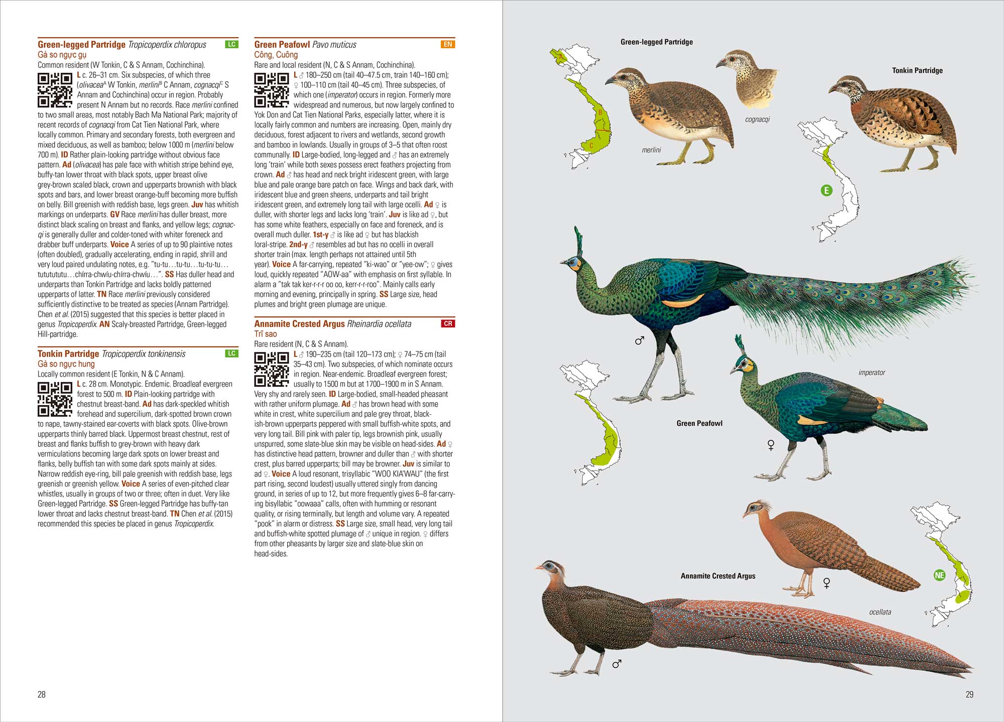 BIRDS OF VIETNAM (FLEXI COVER) 2