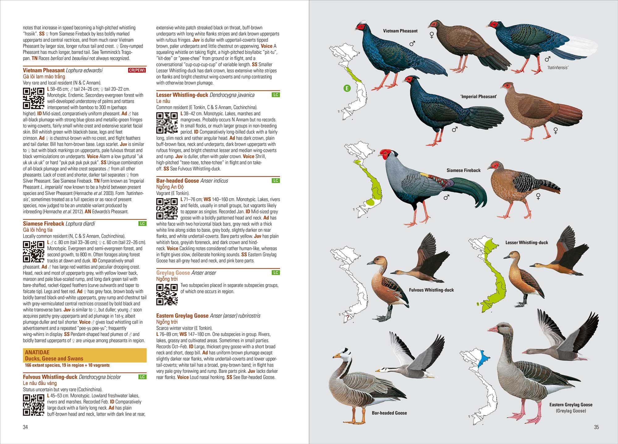 BIRDS OF VIETNAM (FLEXI COVER) 3