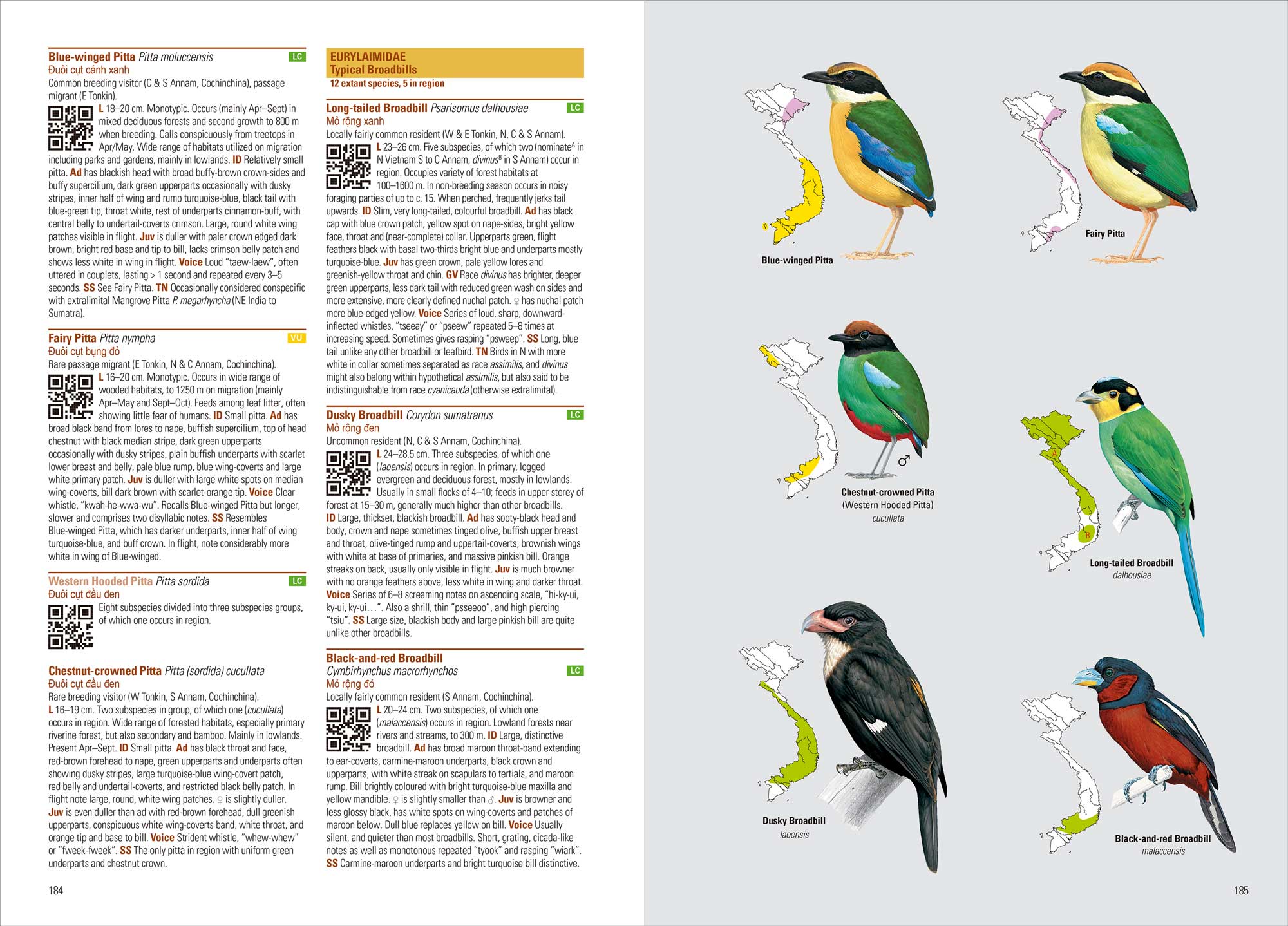 BIRDS OF VIETNAM (FLEXI COVER) 4