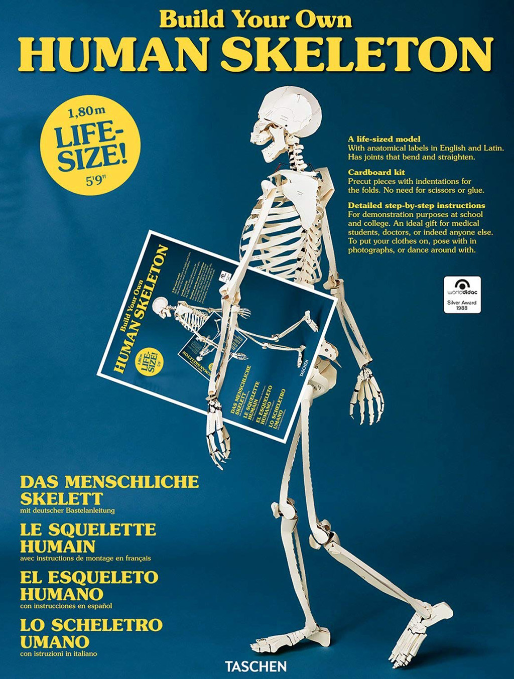 BUILD YOUR OWN HUMAN SKELETON 1