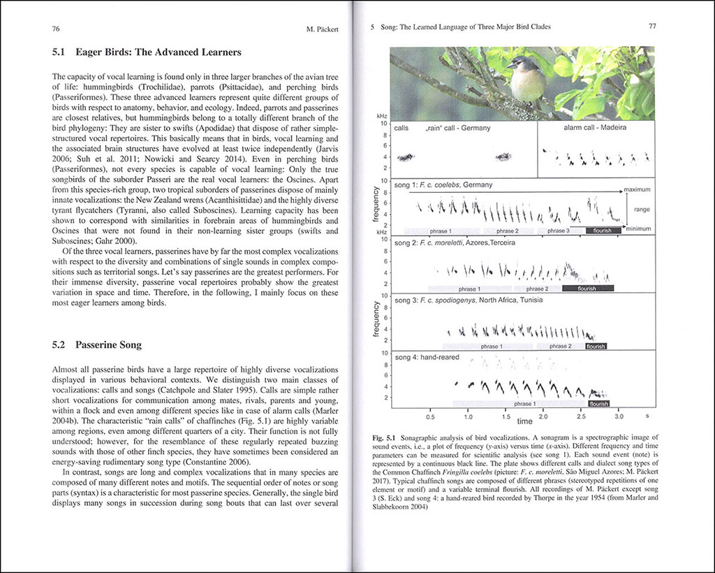 BIRD SPECIES. HOW THEY ARISE, MODIFY AND VANISH 2