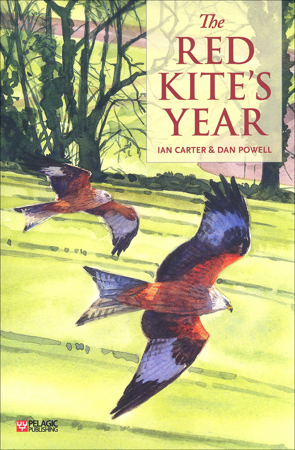 THE RED KITE'S YEAR