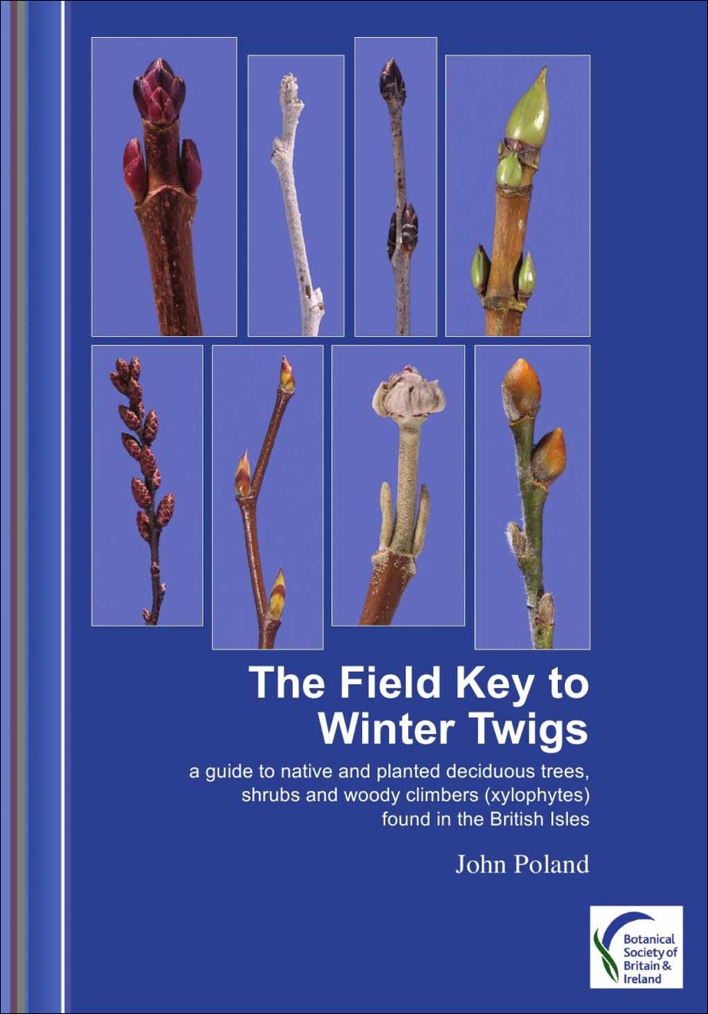 THE FIELD KEY TO WINTER TWIGS. A GUIDE TO NATIVE AND PLANTED DECIDUOUS TREES, SHRUBS AND WOODY CLIMBERS (XYLOPHYTES) FOUND IN THE BRITISH ISLES