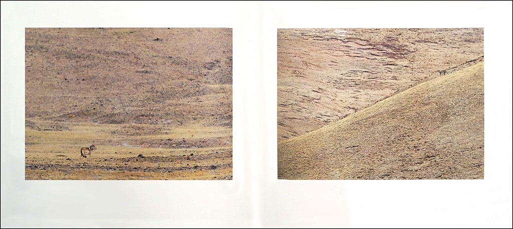 TIBET: MINÉRAL ANIMAL 3