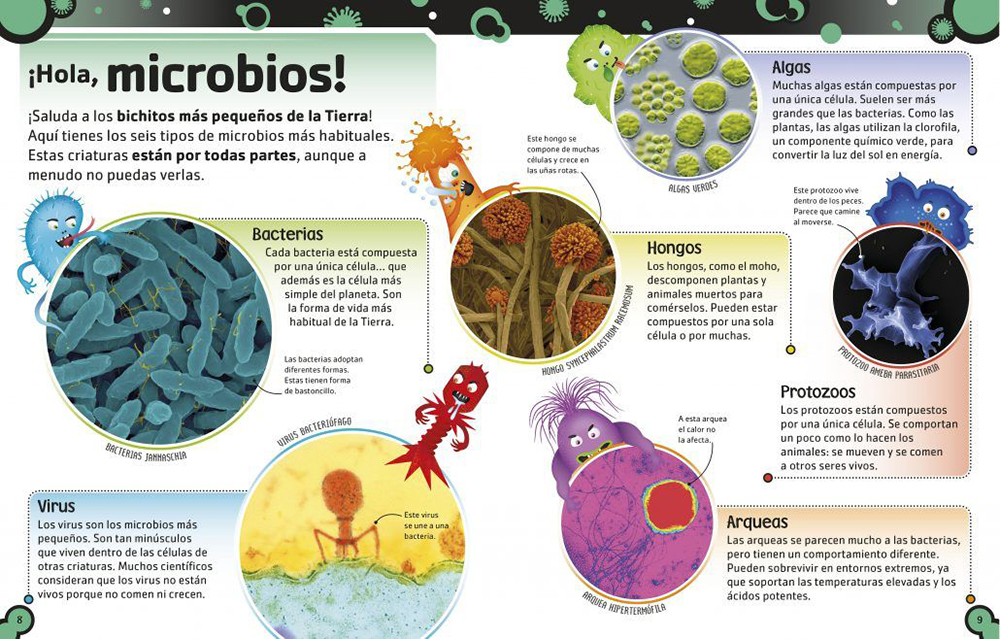 EL LIBRO DE LAS BACTERIAS. FEOS GÉRMENES, VIRUS MALOS Y HONGOS CHUNGOS 2