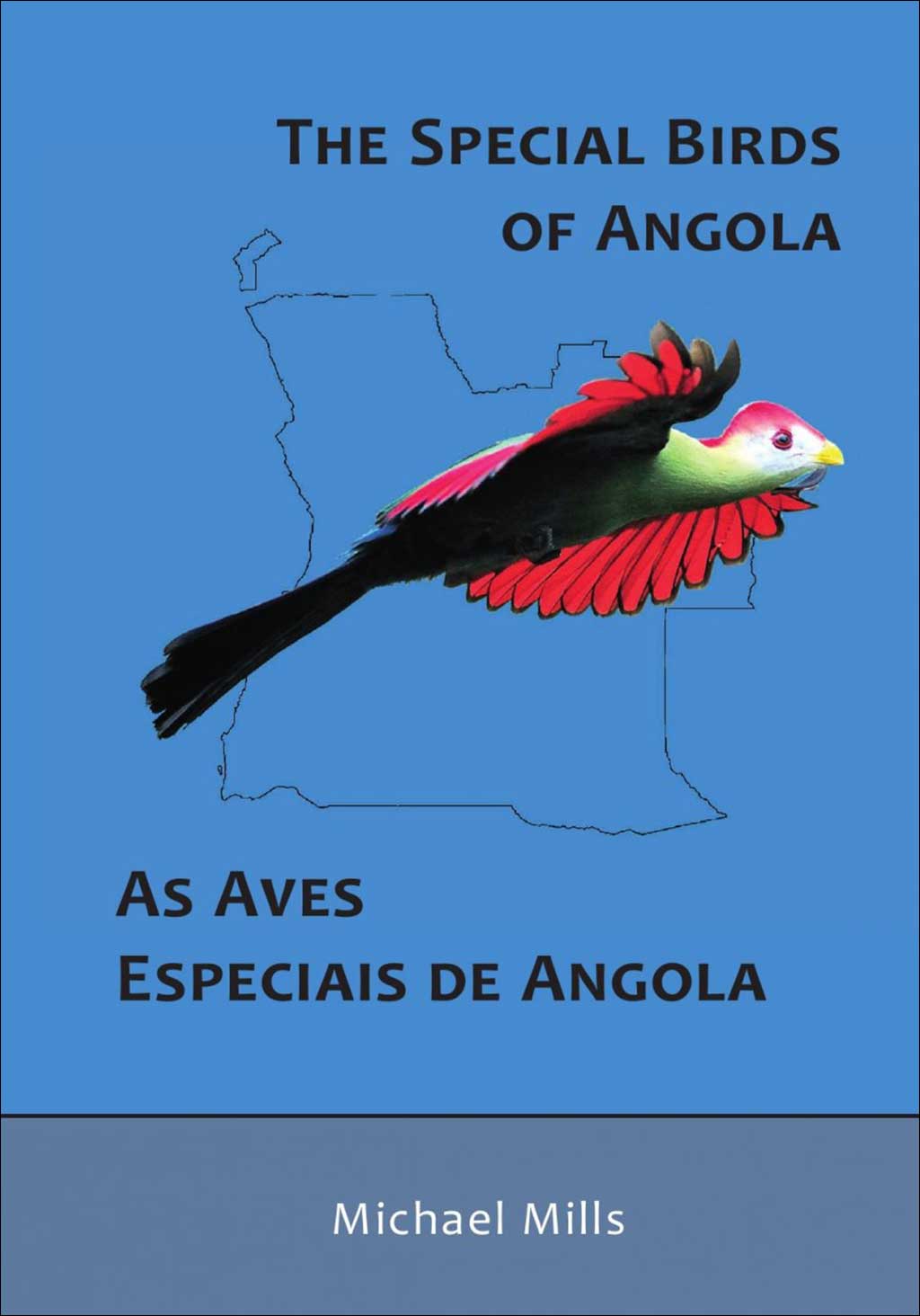 THE SPECIAL BIRDS OF ANGOLA. AS AVES SPECIAIS DE ANGOLA
