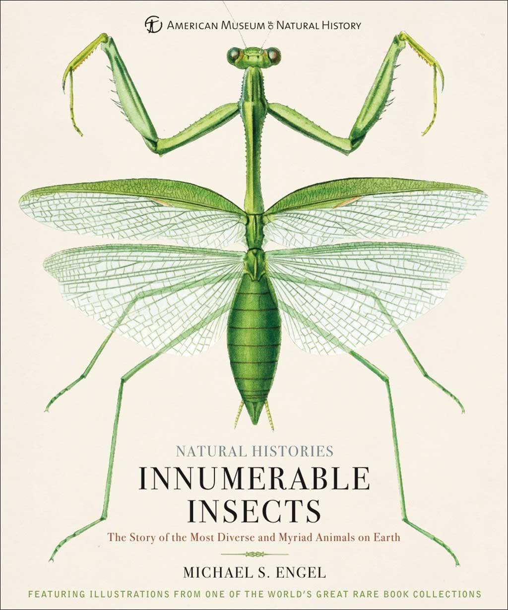 INNUMERABLE INSECTS. THE STORY OF THE MOST DIVERSE AND MYRIAD ANIMALS ON EARTH