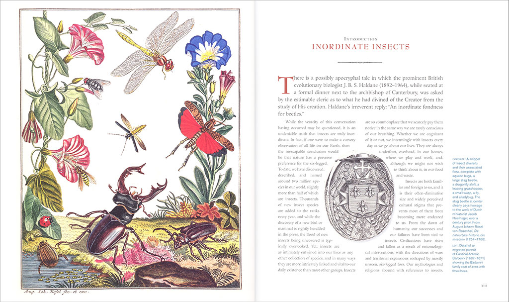 INNUMERABLE INSECTS. THE STORY OF THE MOST DIVERSE AND MYRIAD ANIMALS ON EARTH 2