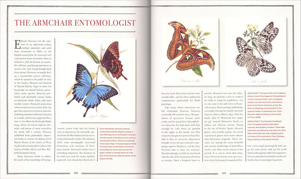 INNUMERABLE INSECTS. THE STORY OF THE MOST DIVERSE AND MYRIAD ANIMALS ON EARTH 4