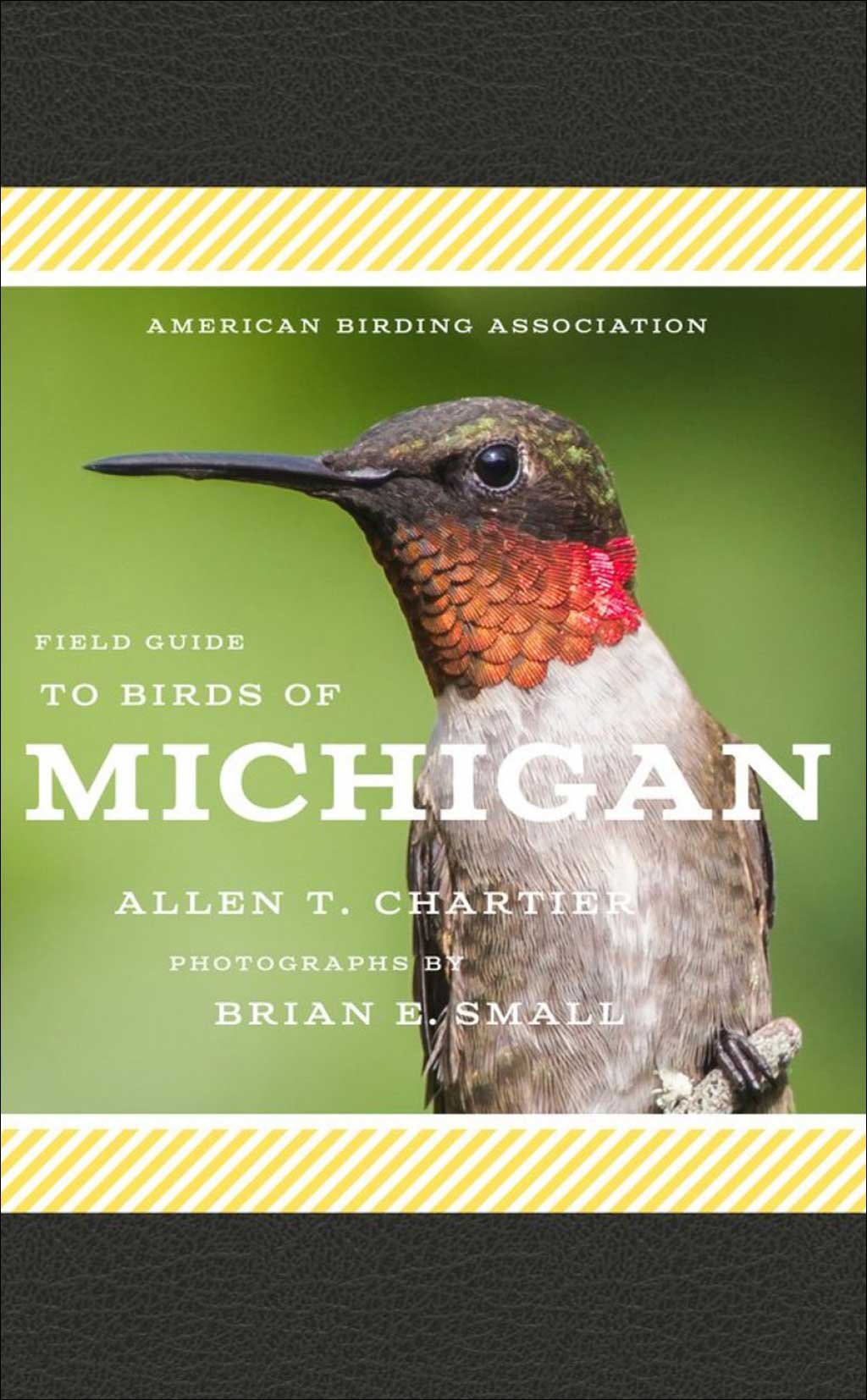 FIELD GUIDE TO BIRDS OF MICHIGAN