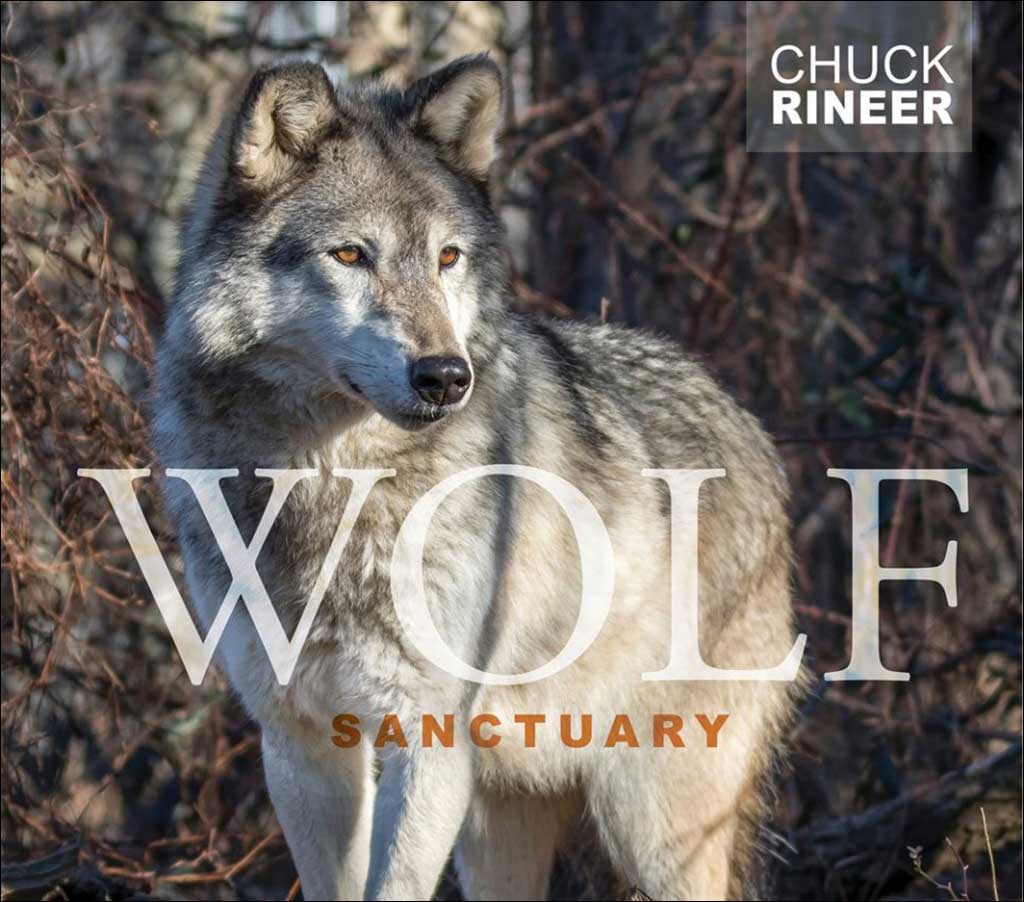 WOLF SANCTUARY