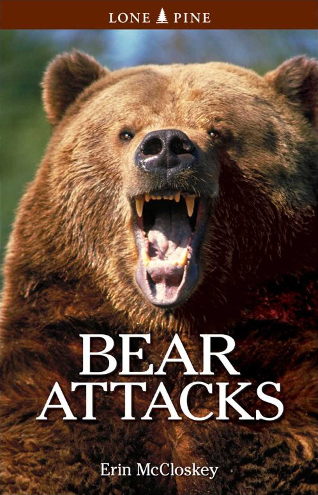 BEAR ATTACKS