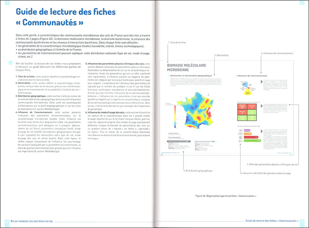 ATLAS FRANÇAIS DES BACTÉRIES DU SOL 2