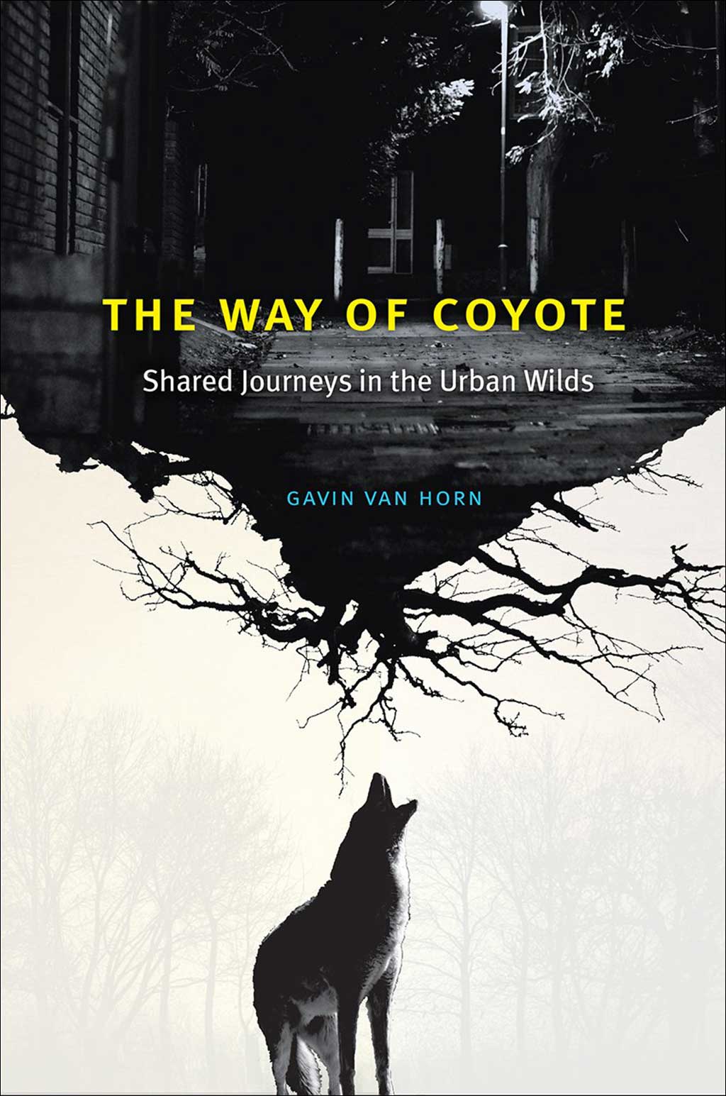 THE WAY OF COYOTE 1