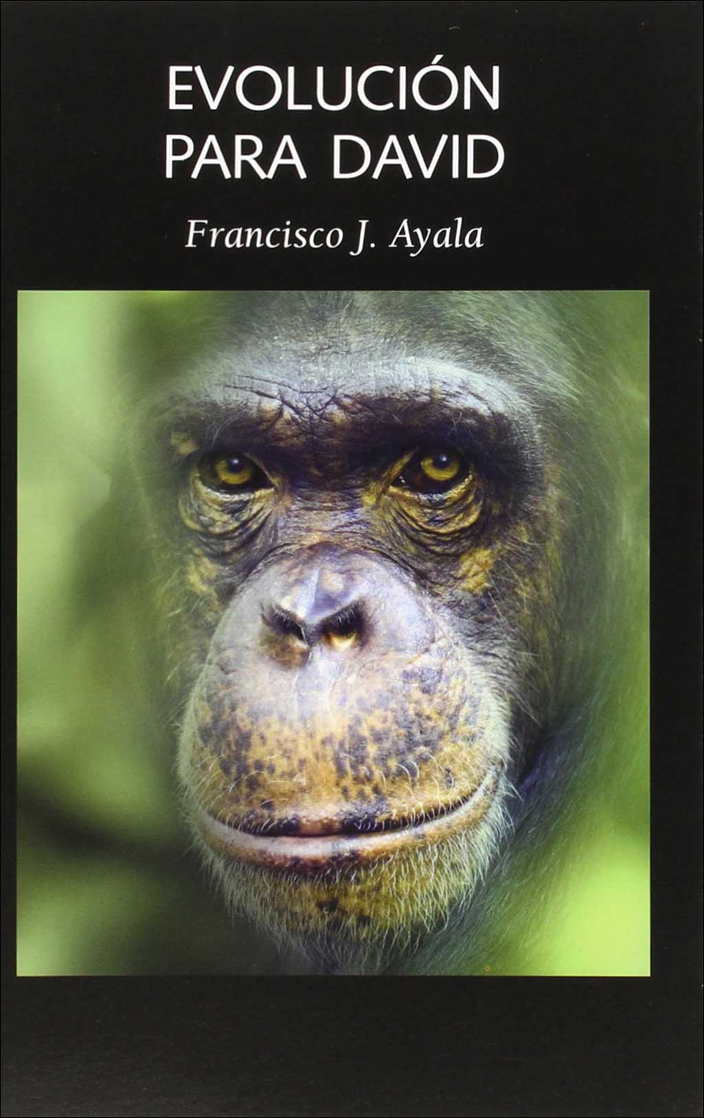 EVOLUCIÓN PARA DAVID 1