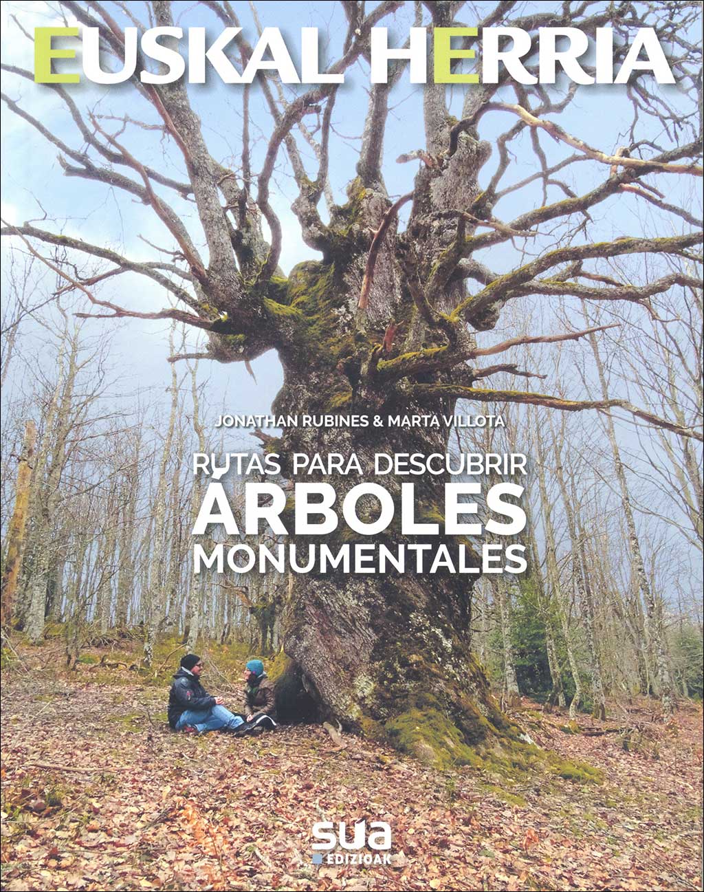 RUTAS PARA DESCUBRIR ARBOLES MONUMENTALES 1