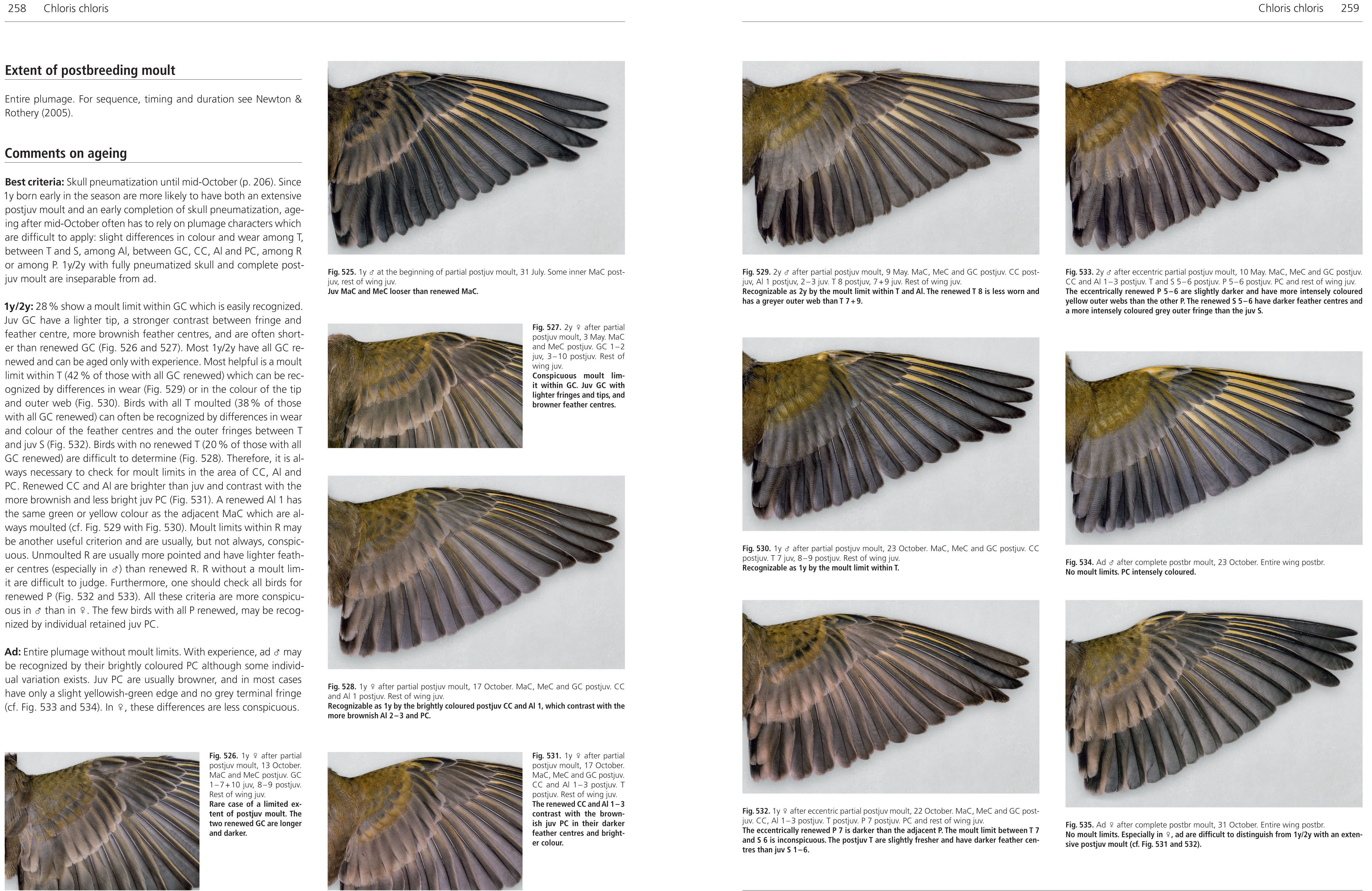 MOULT AND AGEING OF EUROPEAN PASSERINES 4