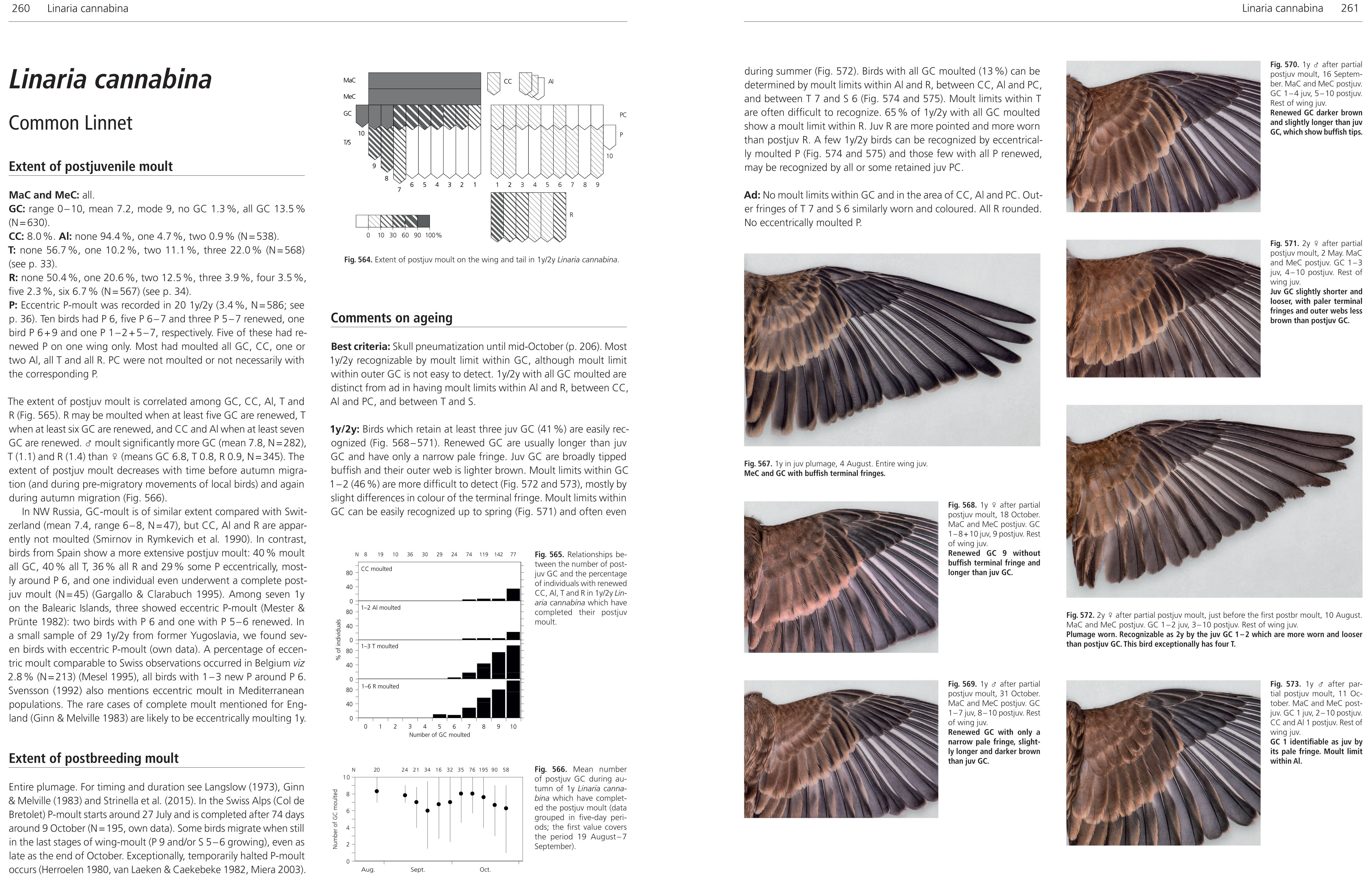 MOULT AND AGEING OF EUROPEAN PASSERINES 5
