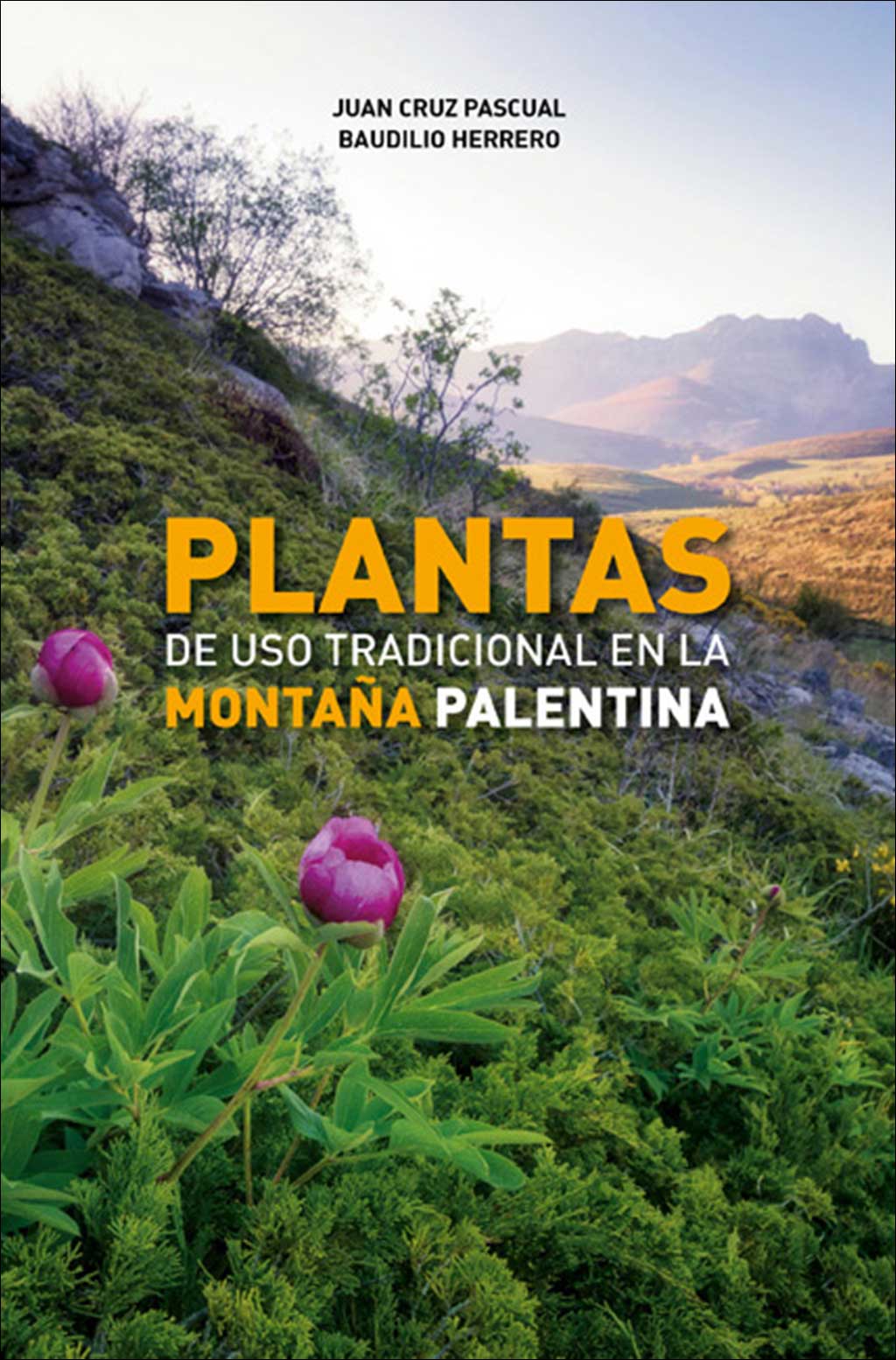 PLANTAS DE USO TRADICIONAL EN LA MONTAÑA PALENTINA 1