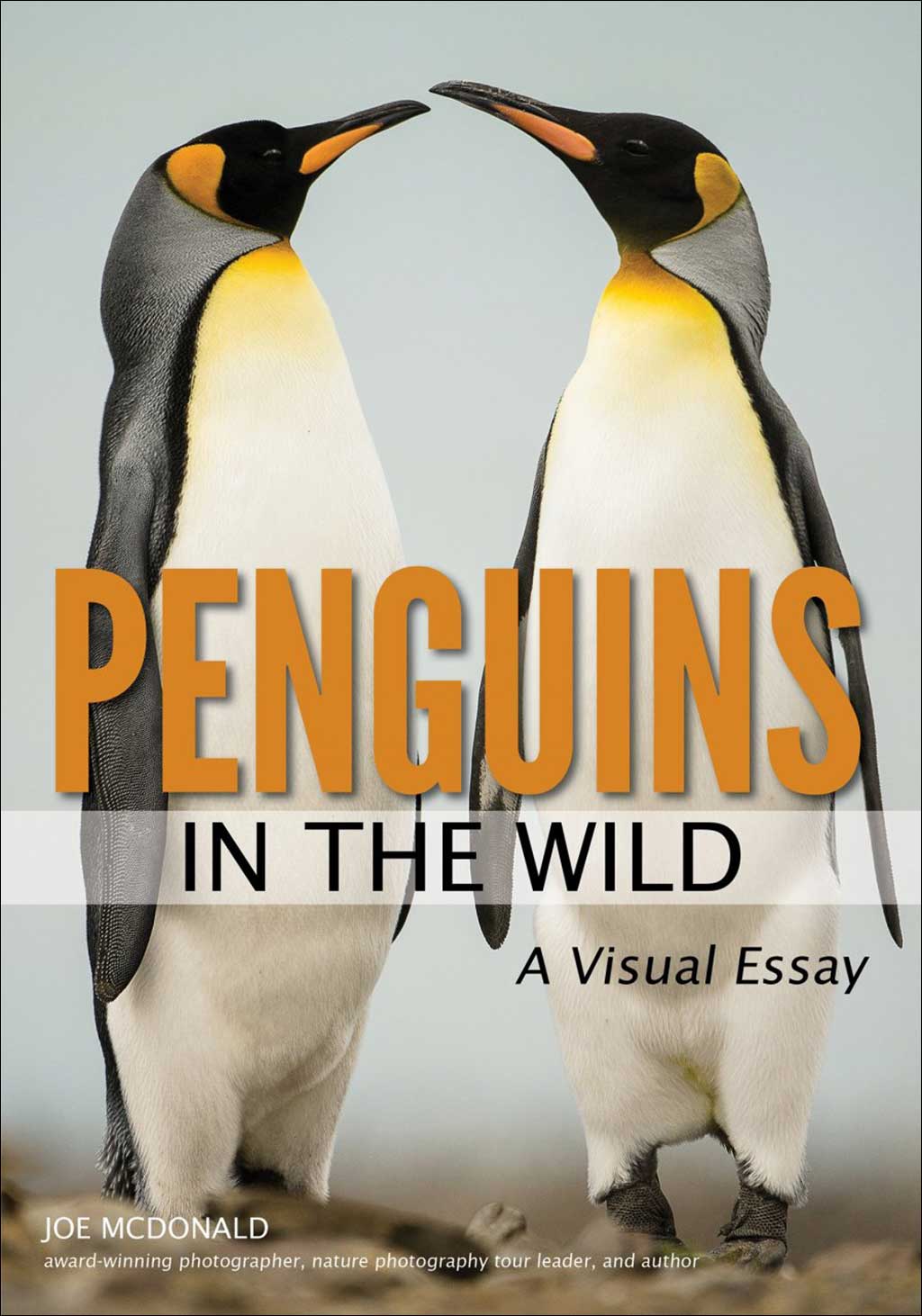 PENGUINS IN THE WILD. A VISUAL ESSAY