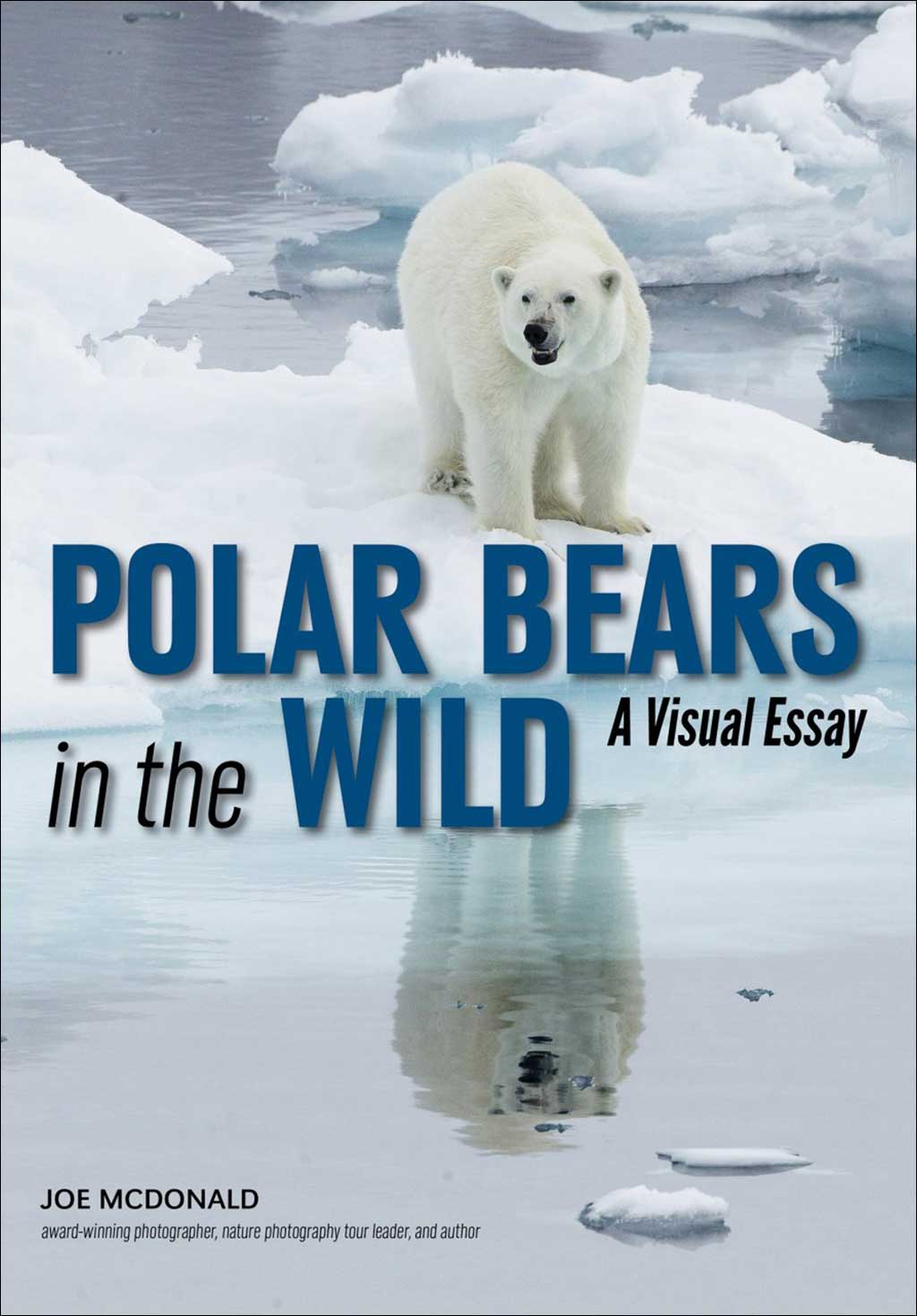 POLAR BEARS IN THE WILD. A VISUAL ESSAY OF AN ENDANGERED SPECIES