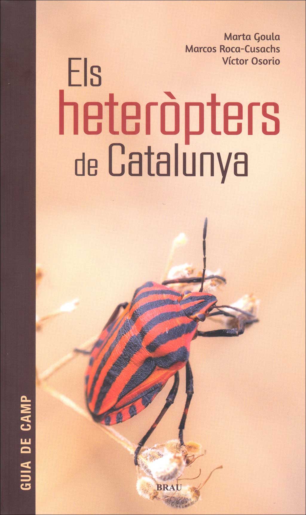 ELS HETERÒPTERS DE CATALUNYA