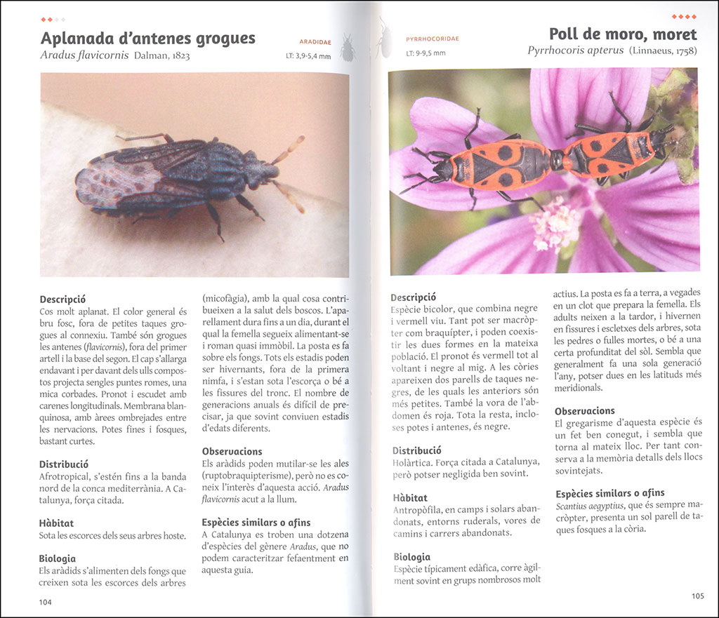 ELS HETERÒPTERS DE CATALUNYA 3