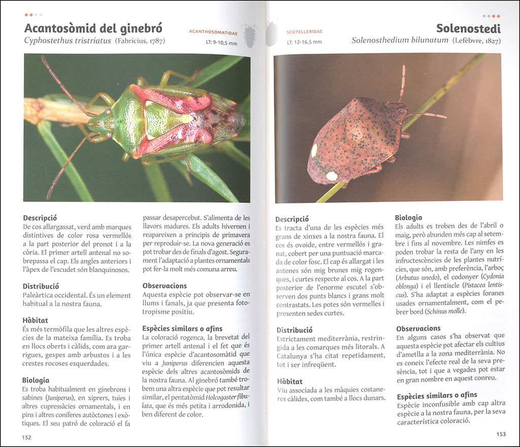 ELS HETERÒPTERS DE CATALUNYA 4