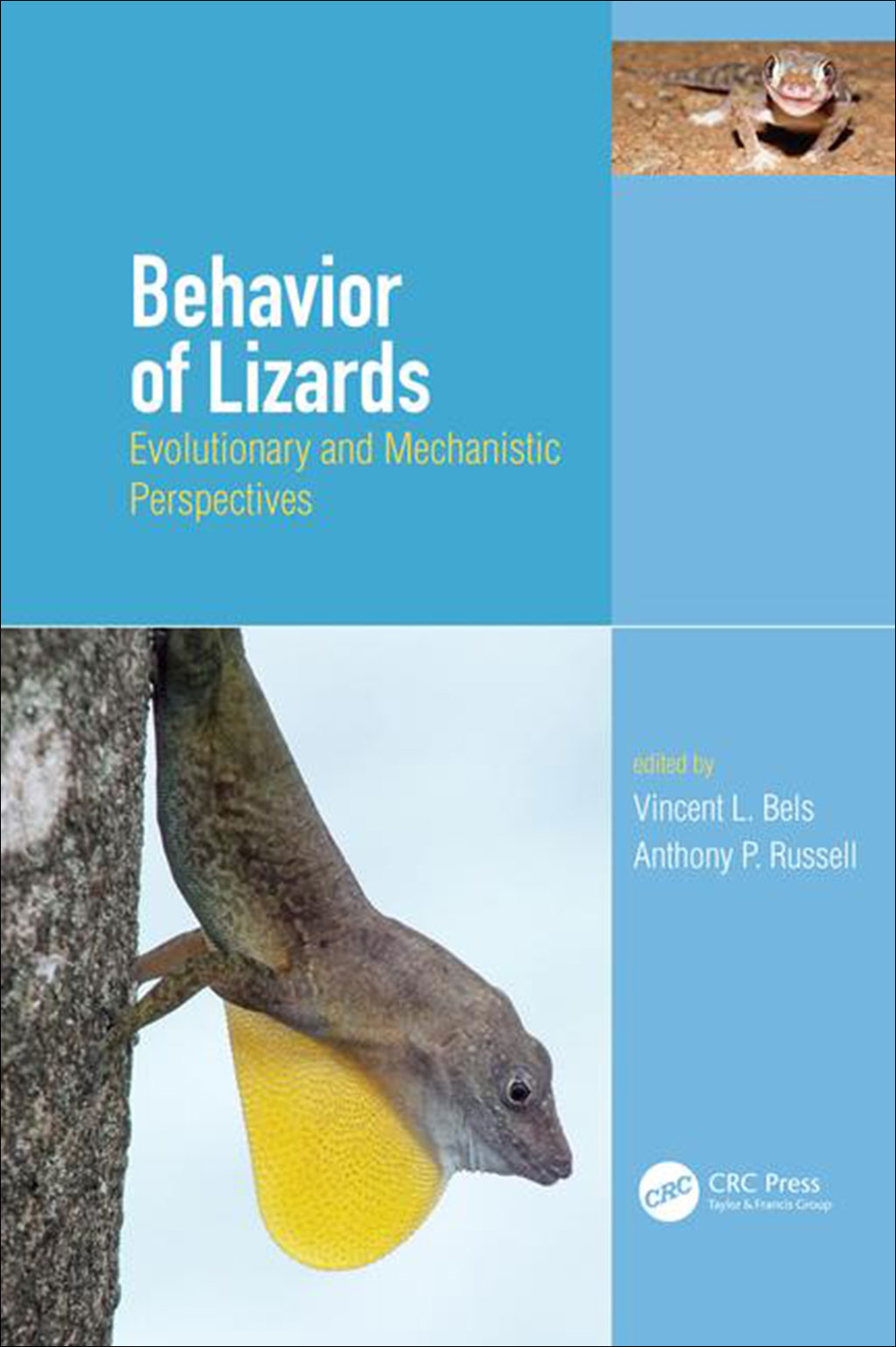 BEHAVIOR OF LIZARDS