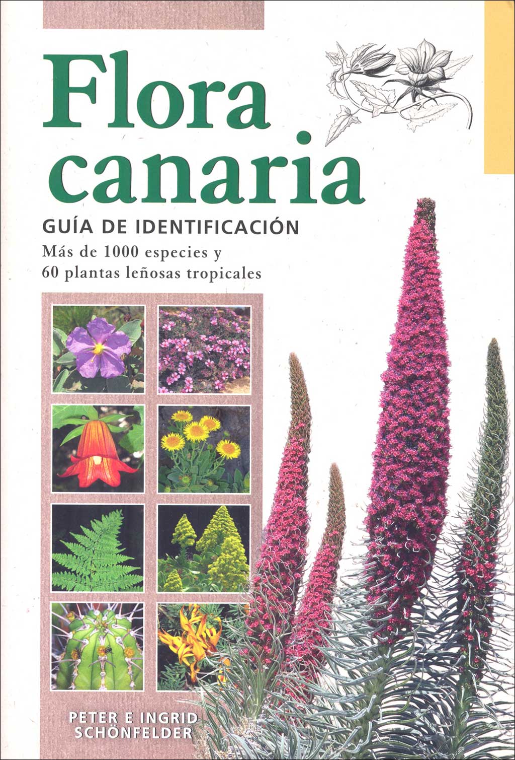 FLORA CANARIA. GUÍA DE IDENTIFICACIÓN