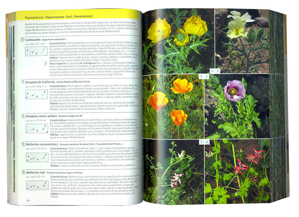FLORA CANARIA. GUÍA DE IDENTIFICACIÓN 2