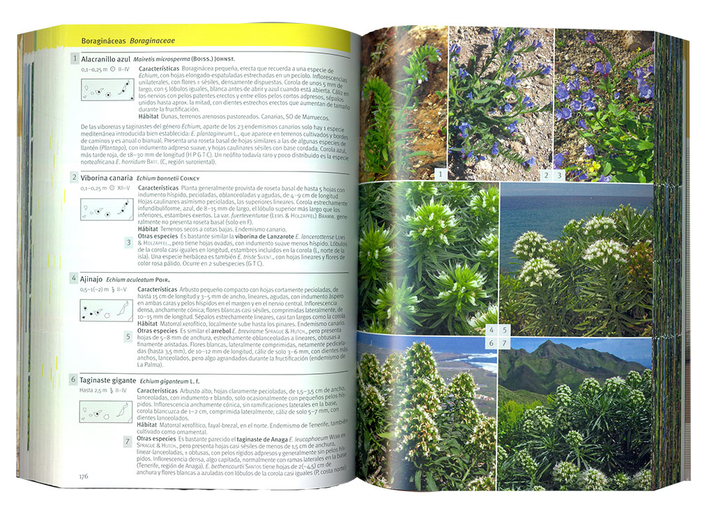 FLORA CANARIA. GUÍA DE IDENTIFICACIÓN 3