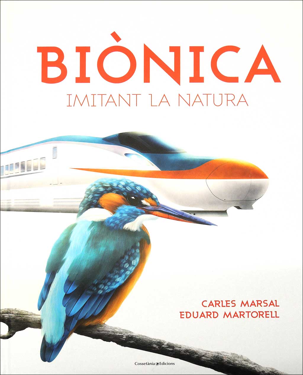 BIÒNICA. IMITANT LA NATURA 1