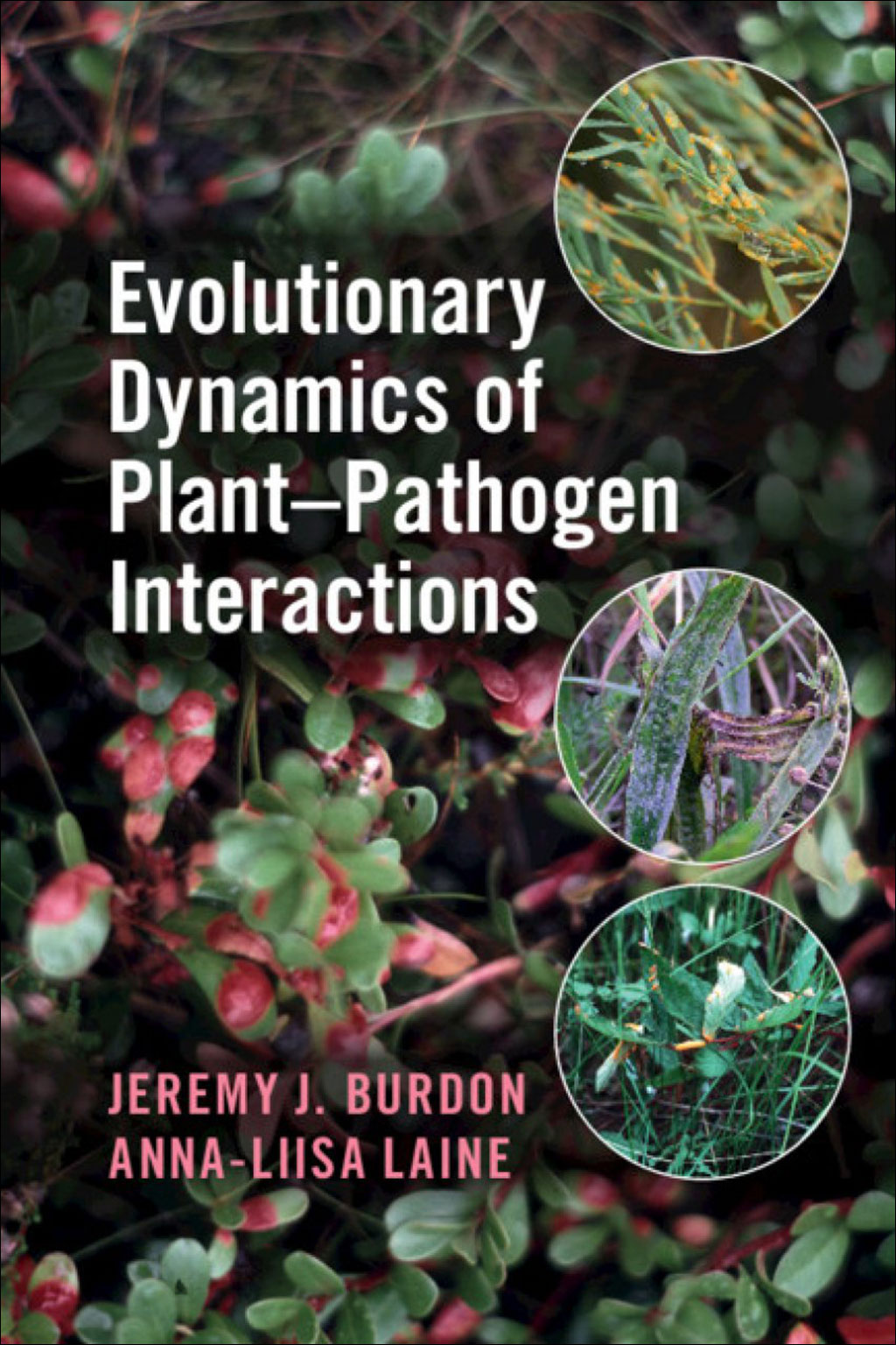 EVOLUTIONARY DYNAMICS OF PLANT-PATHOGEN INTERACTIONS 1