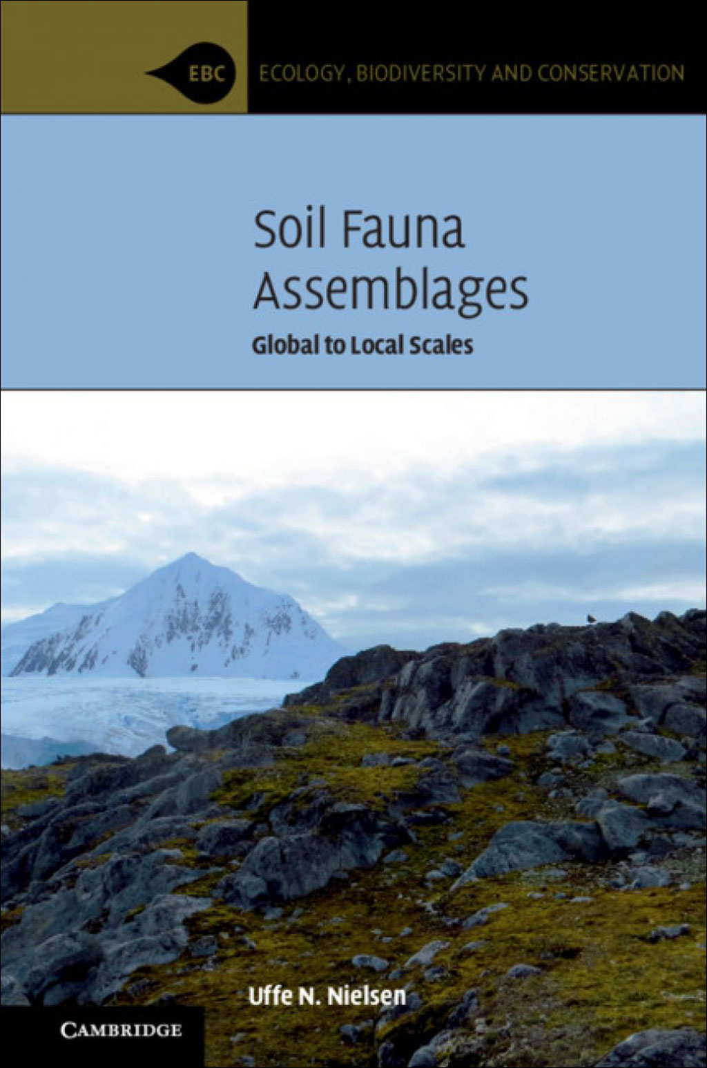 SOIL FAUNA ASSEMBLAGES. GLOBAL TO LOCAL SCALES 1