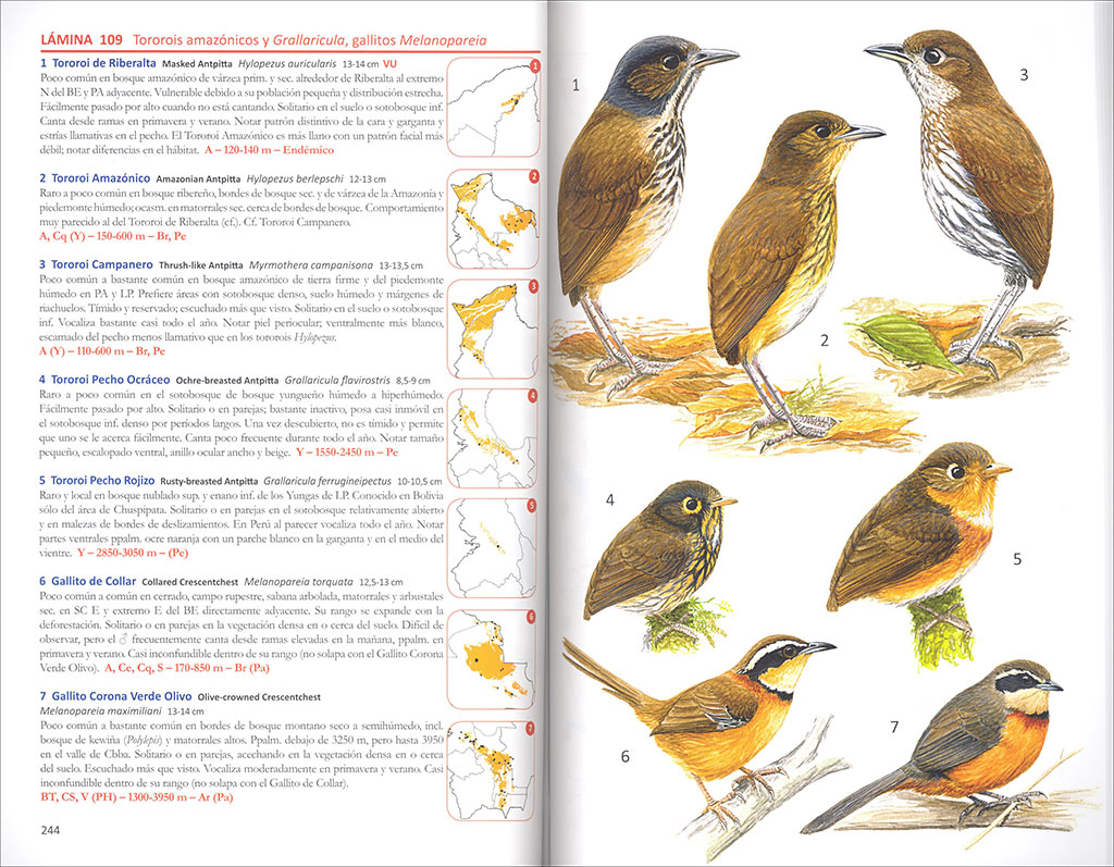 AVES DE BOLIVIA. GUIA DE CAMPO 3
