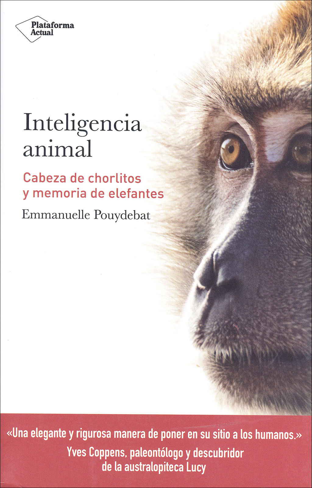 INTELIGENCIA ANIMAL. CABEZA DE CHORLITOS Y MEMORIA DE ELEFANTES 1