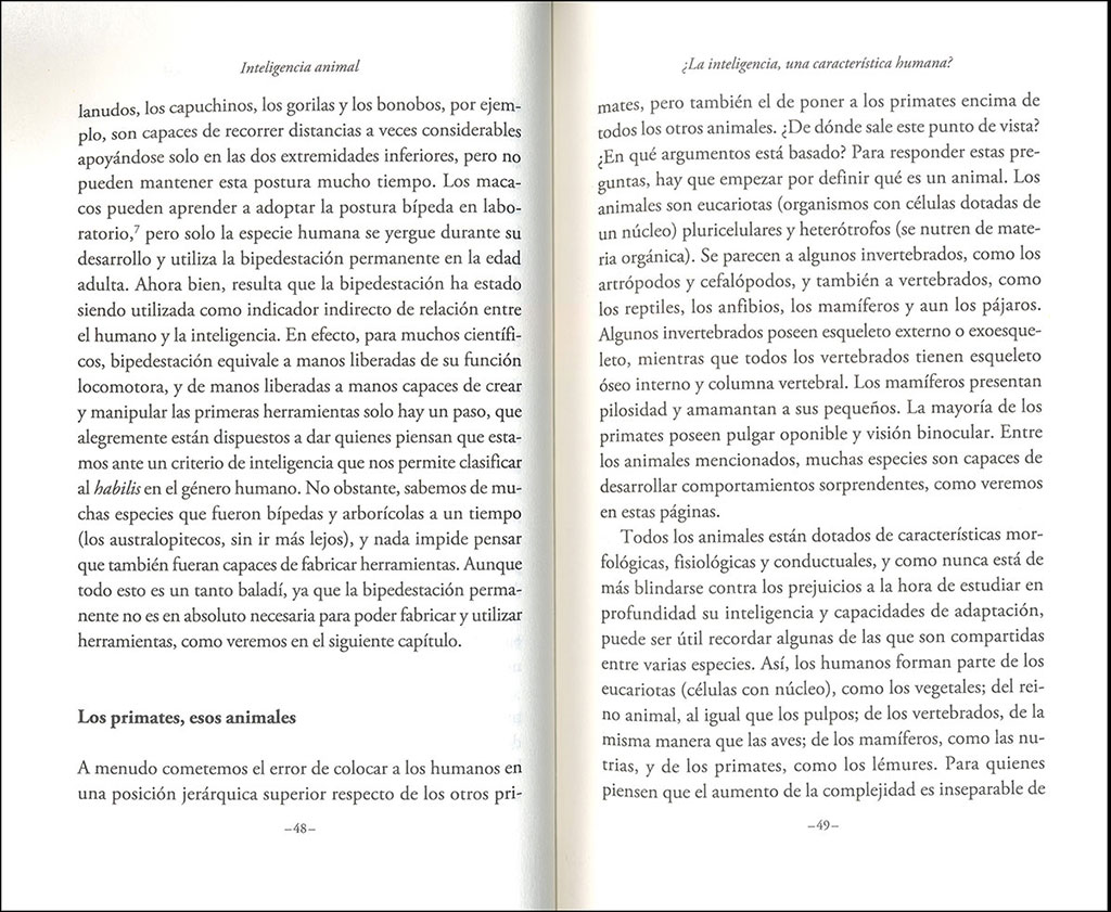 INTELIGENCIA ANIMAL. CABEZA DE CHORLITOS Y MEMORIA DE ELEFANTES 2