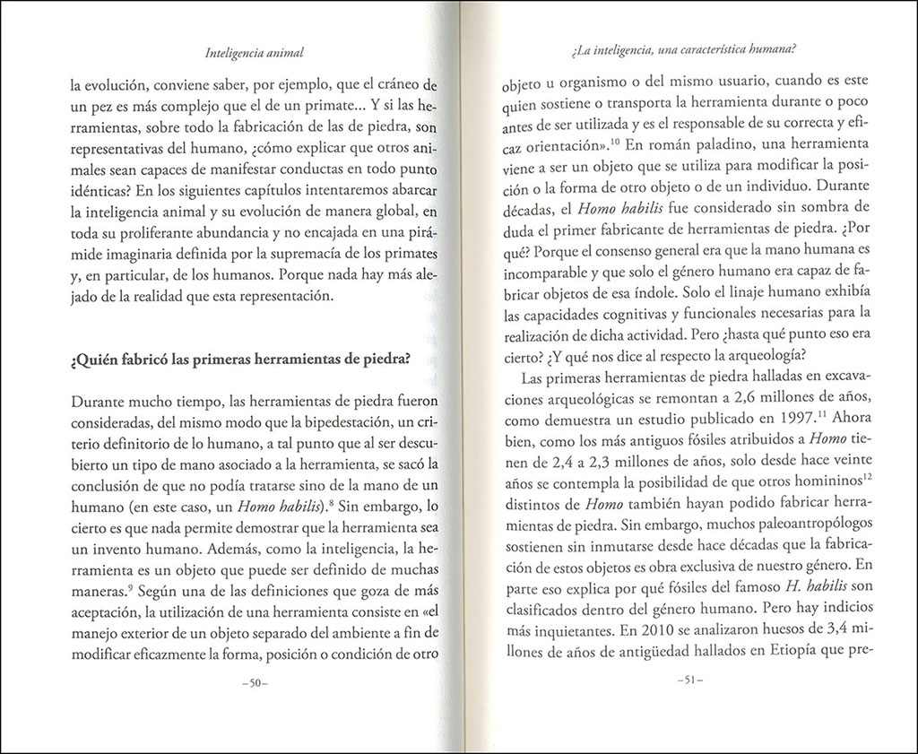 INTELIGENCIA ANIMAL. CABEZA DE CHORLITOS Y MEMORIA DE ELEFANTES 3
