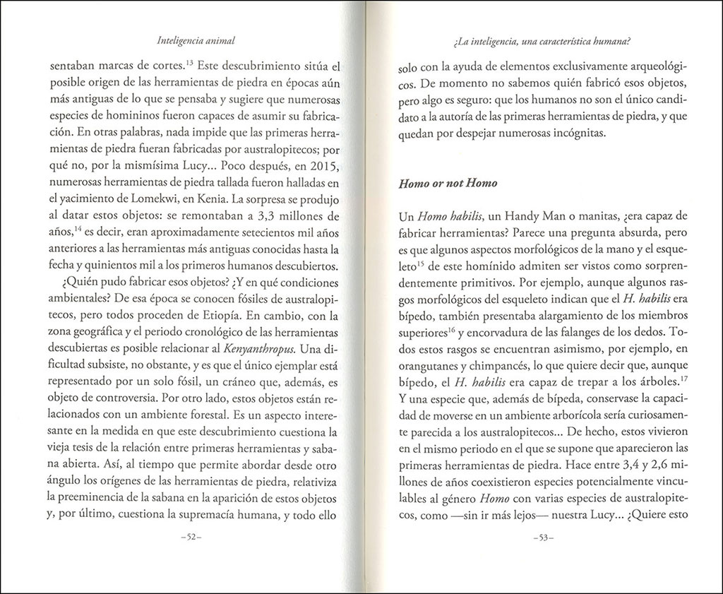 INTELIGENCIA ANIMAL. CABEZA DE CHORLITOS Y MEMORIA DE ELEFANTES 4