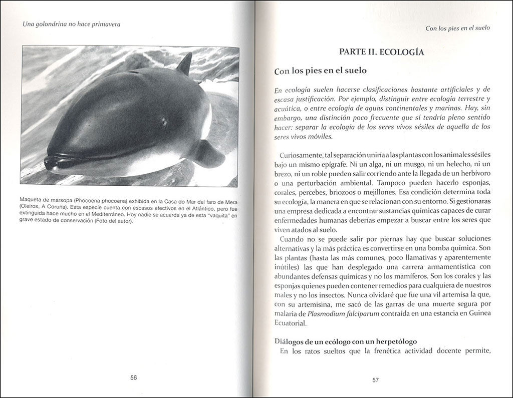 UNA GOLONDRINA NO HACE PRIMAVERA: REFLEXIONES PARA AMANTES DE LA NATURALEZA  INCLUIDA LA HUMANA 3