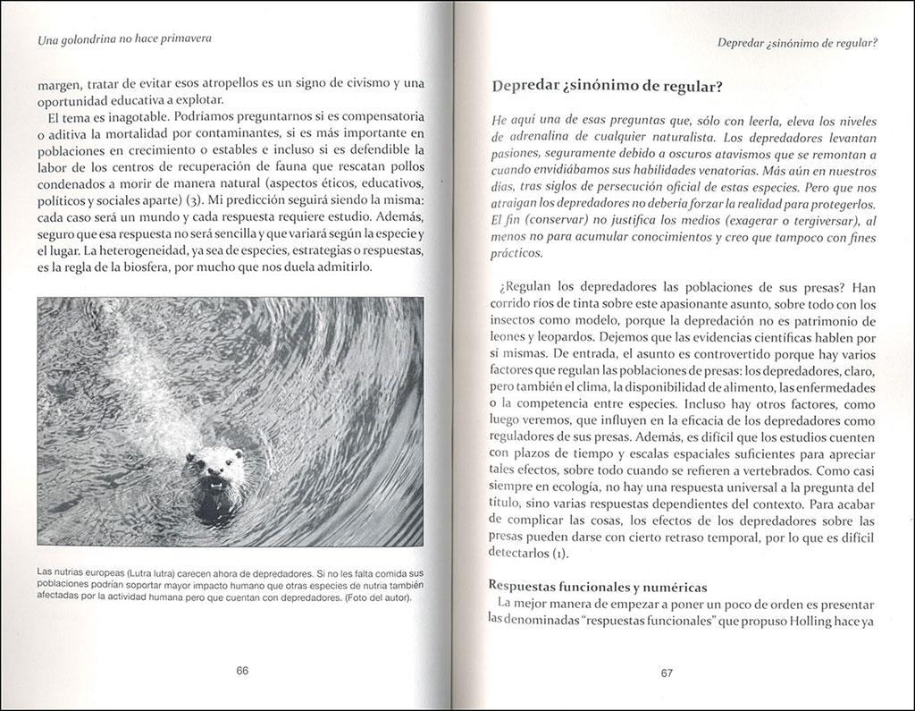 UNA GOLONDRINA NO HACE PRIMAVERA: REFLEXIONES PARA AMANTES DE LA NATURALEZA  INCLUIDA LA HUMANA 4