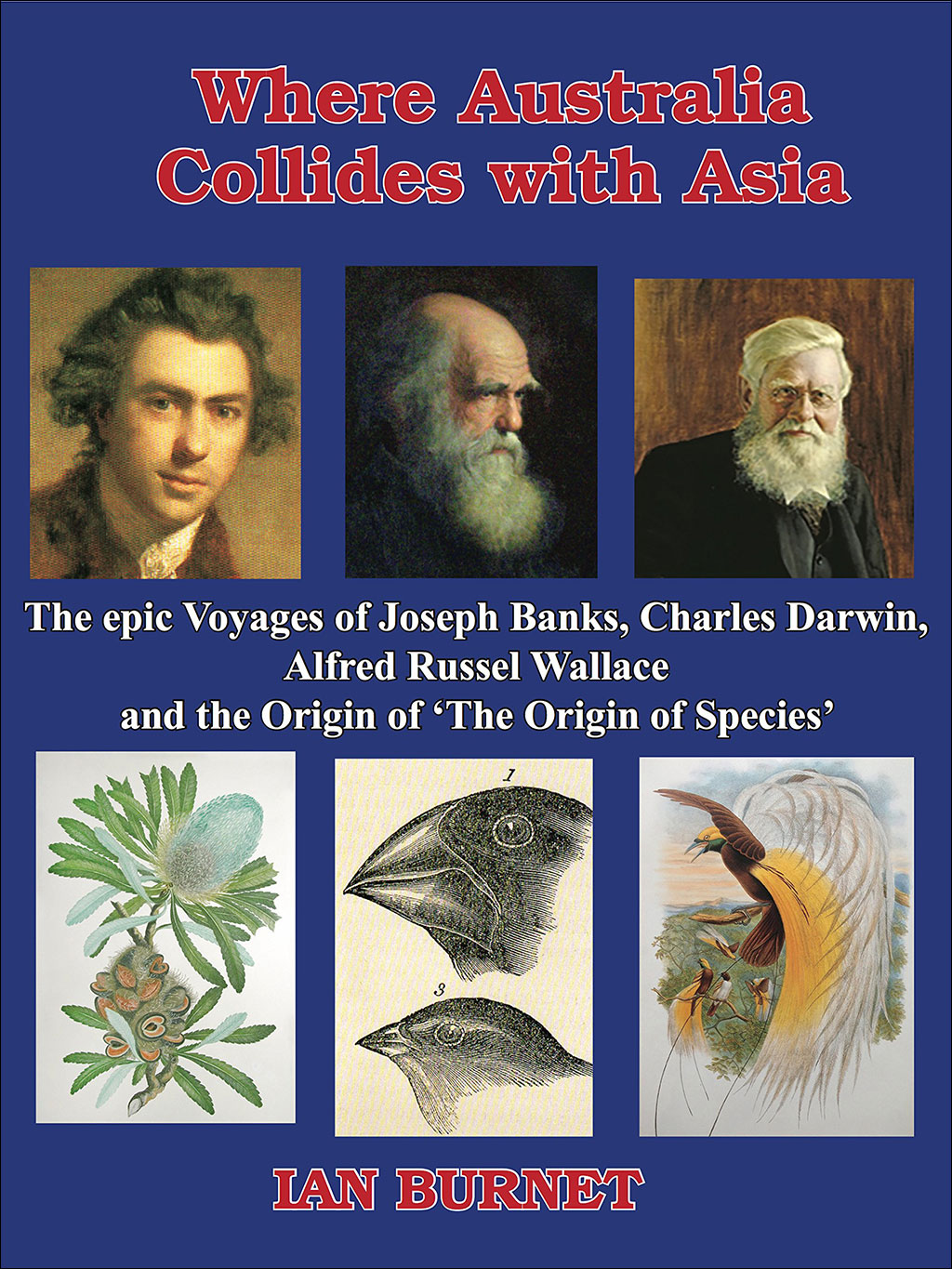 WHERE AUSTRALIA COLLIDES WITH ASIA THE EPIC VOYAGES OF JOSEPH BANKS, CHARLES DARWIN, ALFRED RUSSEL WALLACE AND THE ORIGIN OF "ON THE ORIGIN OF SP 1