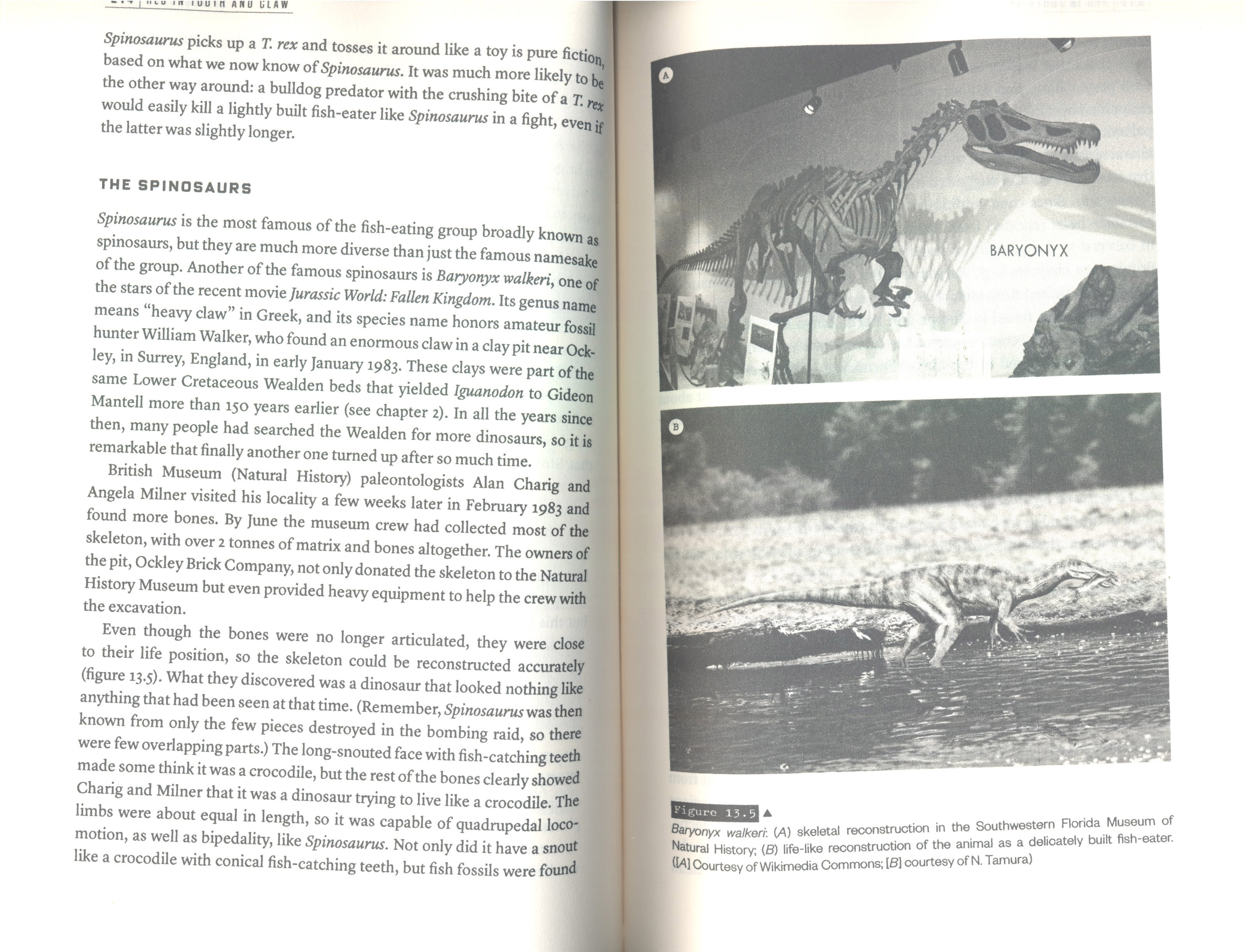 THE HISTORY OF THE DINOSAURS IN 25 DISCOVERIES 3