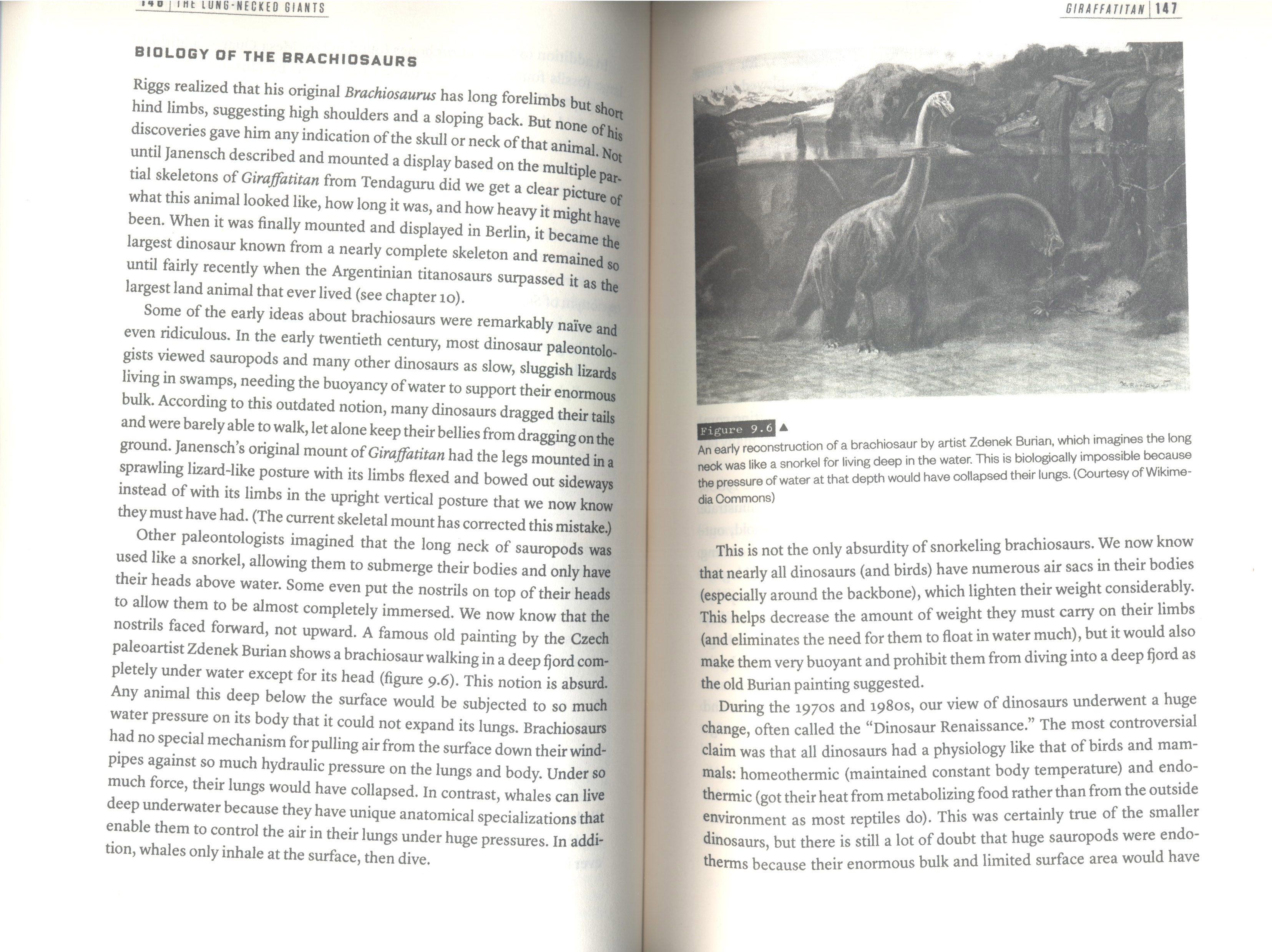 THE HISTORY OF THE DINOSAURS IN 25 DISCOVERIES 4