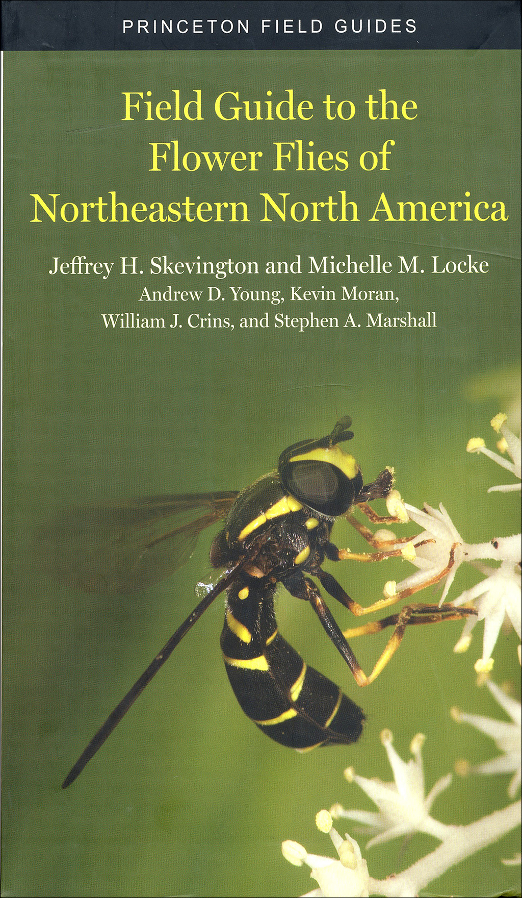 FIELD GUIDE TO THE FLOWER FLIES OF NORTHEASTERN NORTH AMERICA