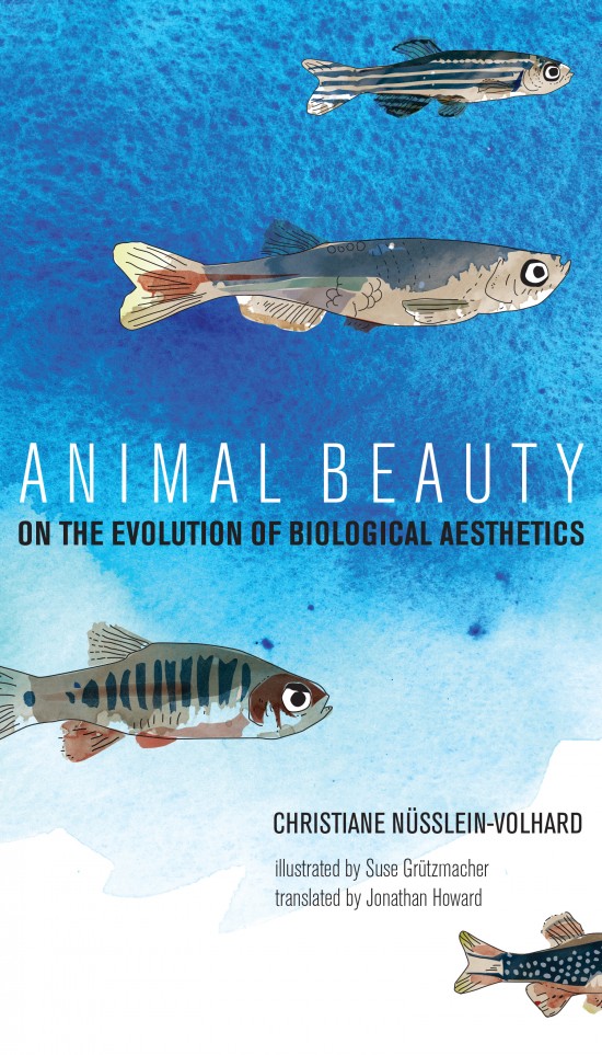 ANIMAL BEAUTY . ON THE EVOLUTION OF BIOLOGICAL AESTHETICS
