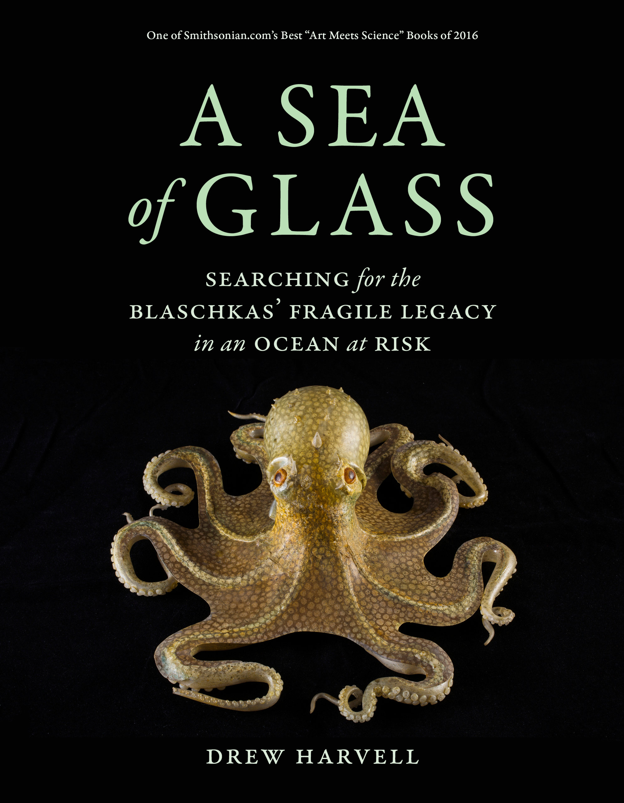 A SEA OF GLASS. SEARCHING FOR THE BLASCHKAS'  FRAGILE LEGACY IN AN OCEAN AT RISK