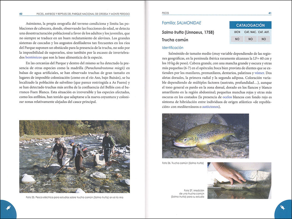 PECES, ANFIBIOS Y REPTILES DEL PARQUE NACIONAL DE ORDESA Y MONTE PERDIDO 2